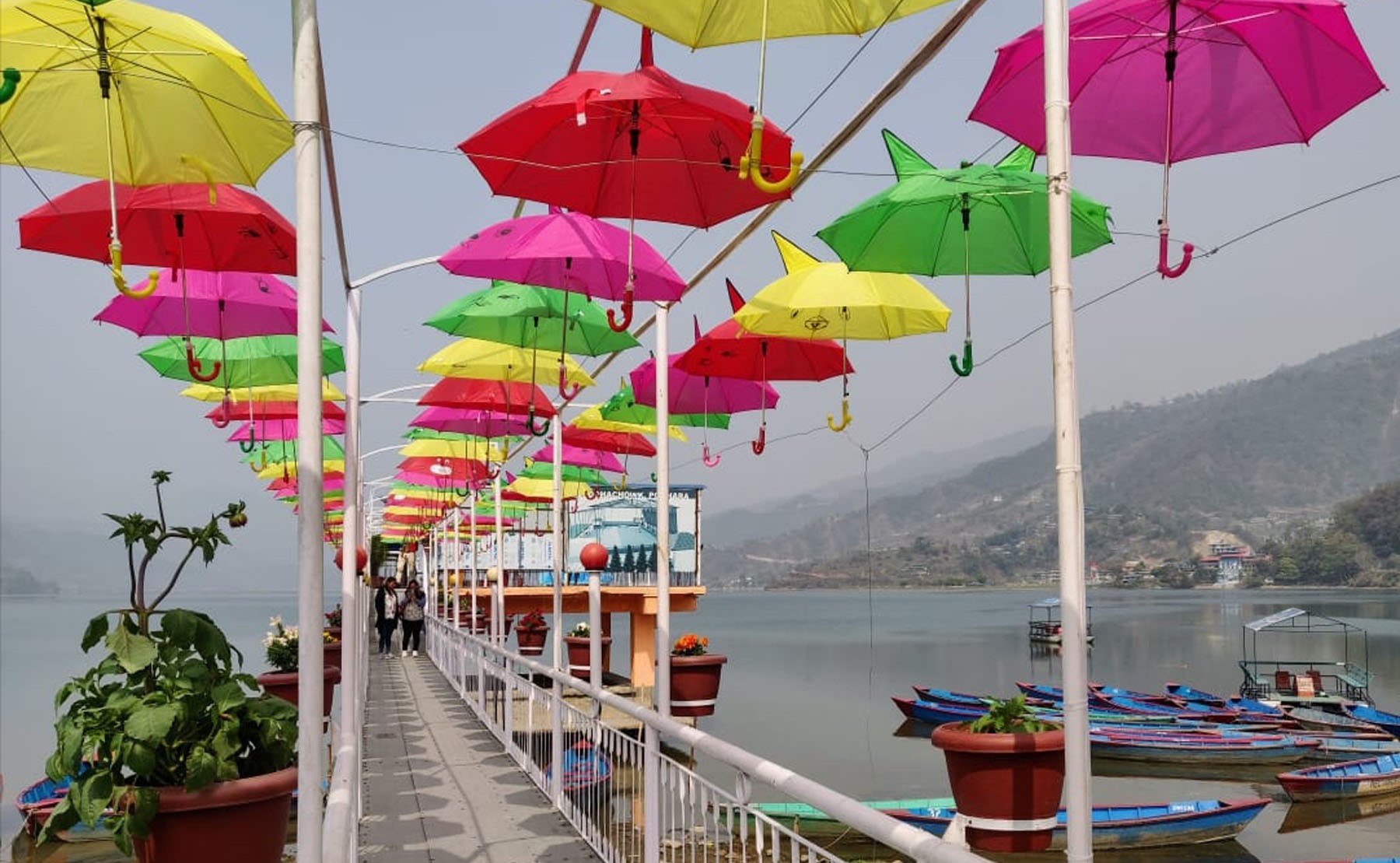 200 million umbrellas entered Nepal; where do the umbrellas come from?