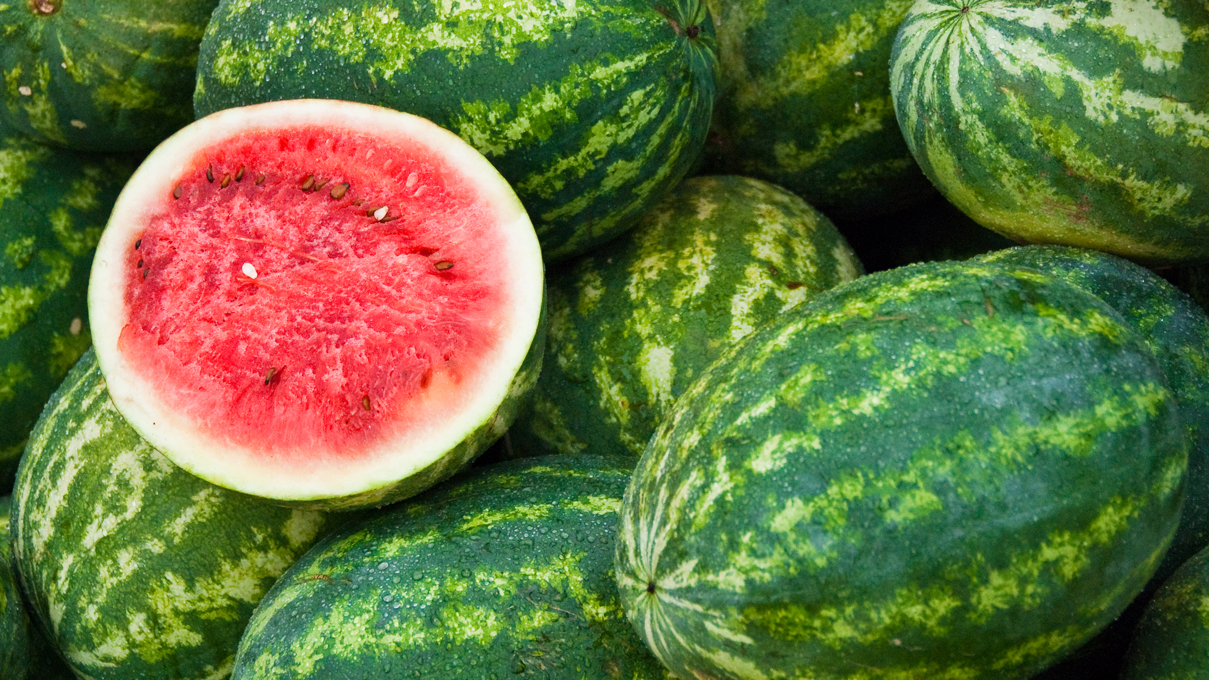Watermelon farming expanding in Kundahar, Pokhara
