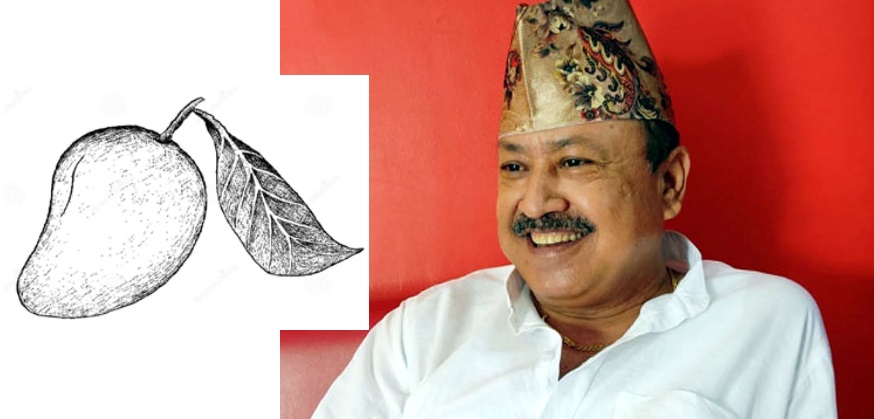 Independent candidate from Dhangadhi Hamal is leading with 609 votes