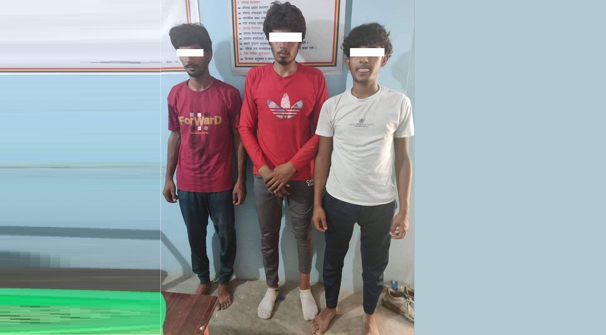 Three Indians arrested for robbing car from Kailali