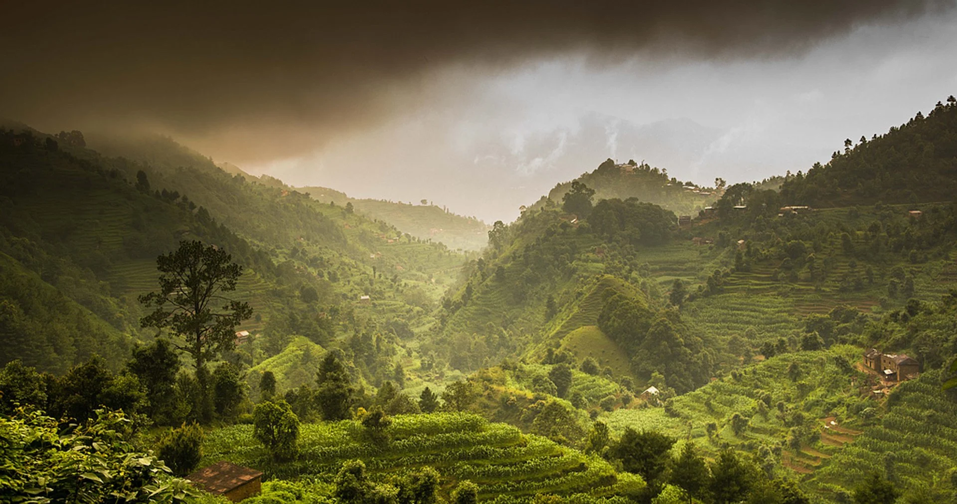 With the onset of monsoon, above average rainfall