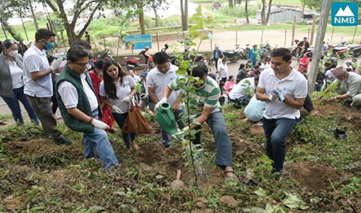 Emphasis on tree planting, environment protection in Nagarjun by NMB Bank