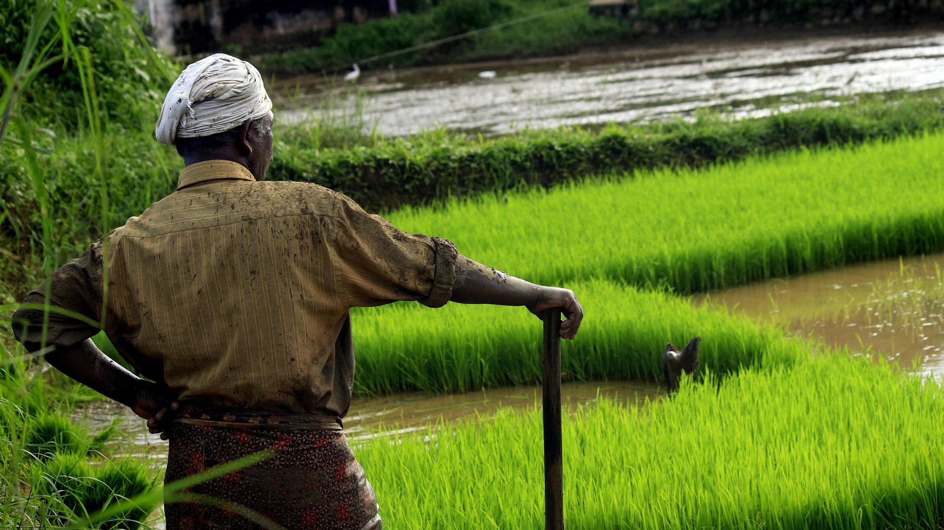 Karnali sees drop in agriculture yields