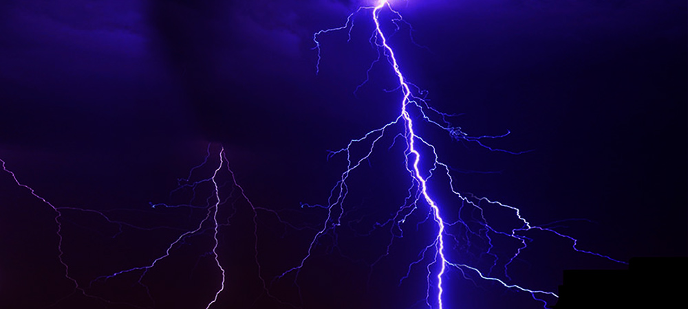 Dozens Goats Dead After Being Struck By Lightning In Humla – English 