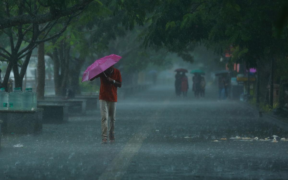 Day of Tika to be rainy, such is the forecast for three days