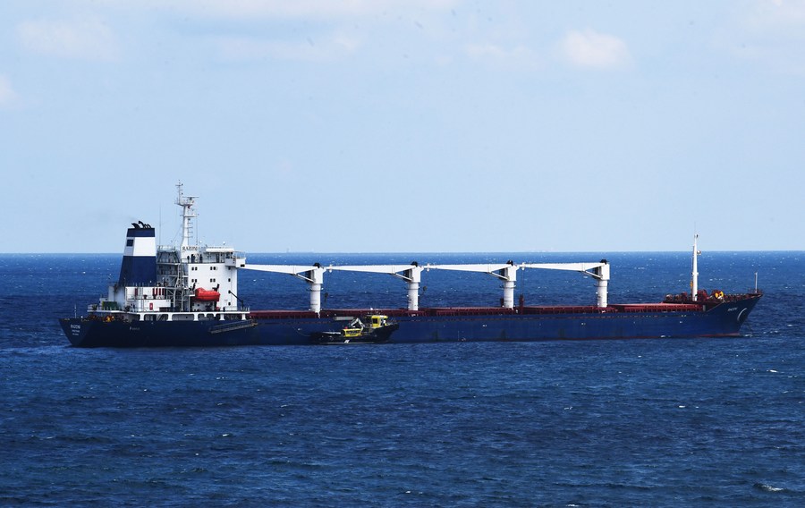 2nd caravan of grain ships from Ukraine arrive in Istanbul