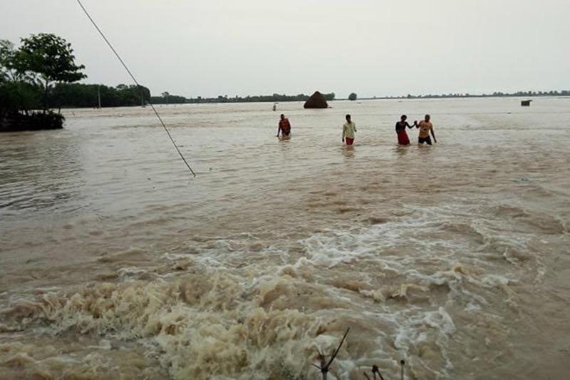 Around 2,500 families in Udayapur affected by Saptakoshi river flooding