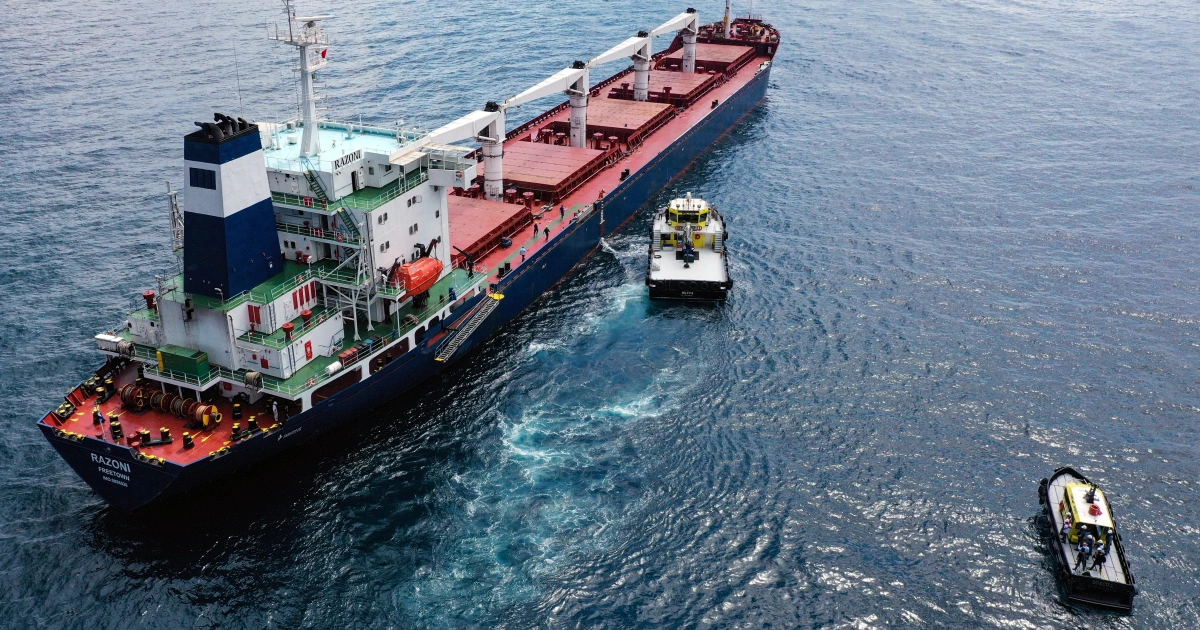 Ship heading to Ukraine to load grain inspected in Istanbul