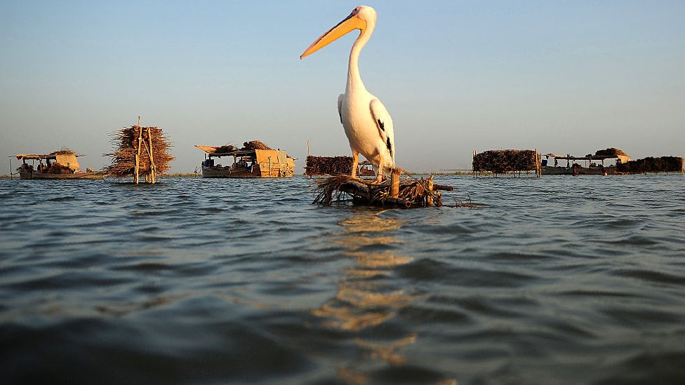 Officials struggle to stop biggest lake overflowing