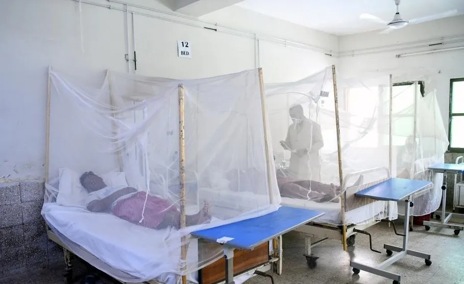 Surge in dengue fever continues in Pakistan