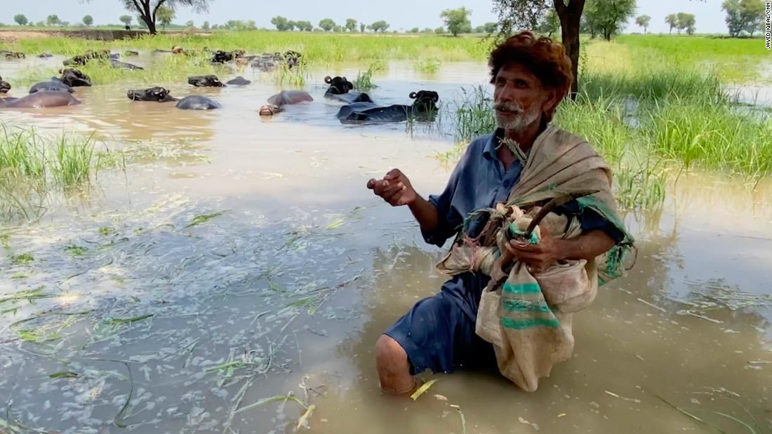 Sindh villagers trapped as Pakistan’s largest lake Manchar overflows