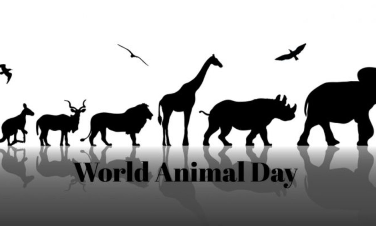 World Animal day being observed today