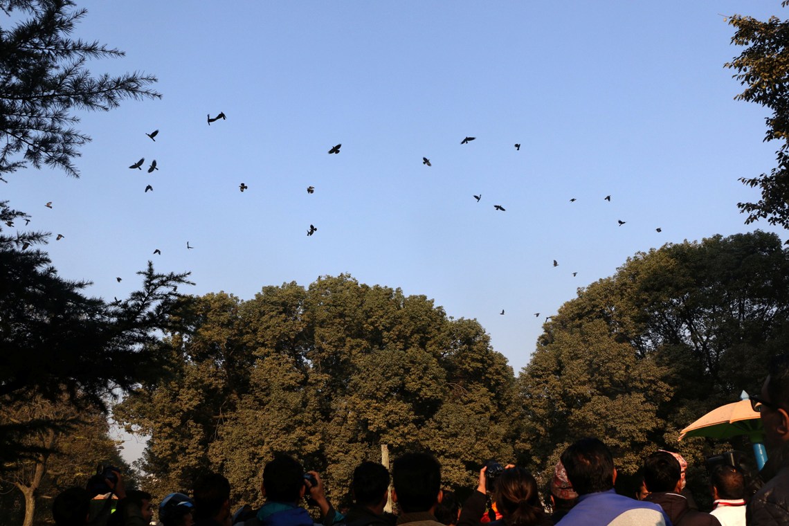 19th crow gathering held in Kathmandu