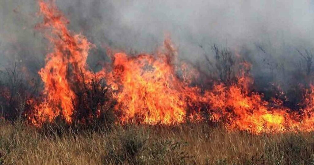 Veld Fires Kill 18 In Zimbabwe 2935