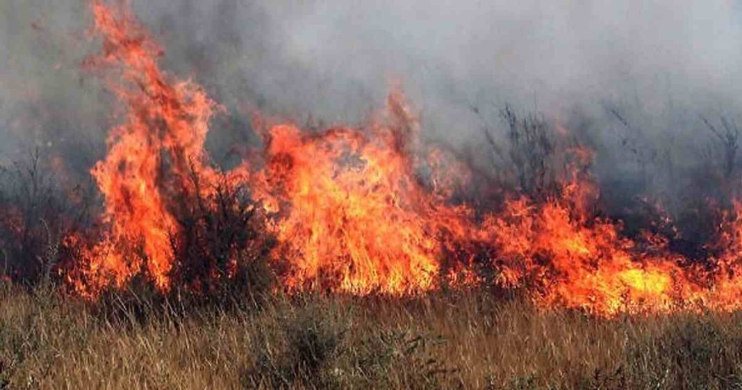 Veld fires kill 18 in Zimbabwe