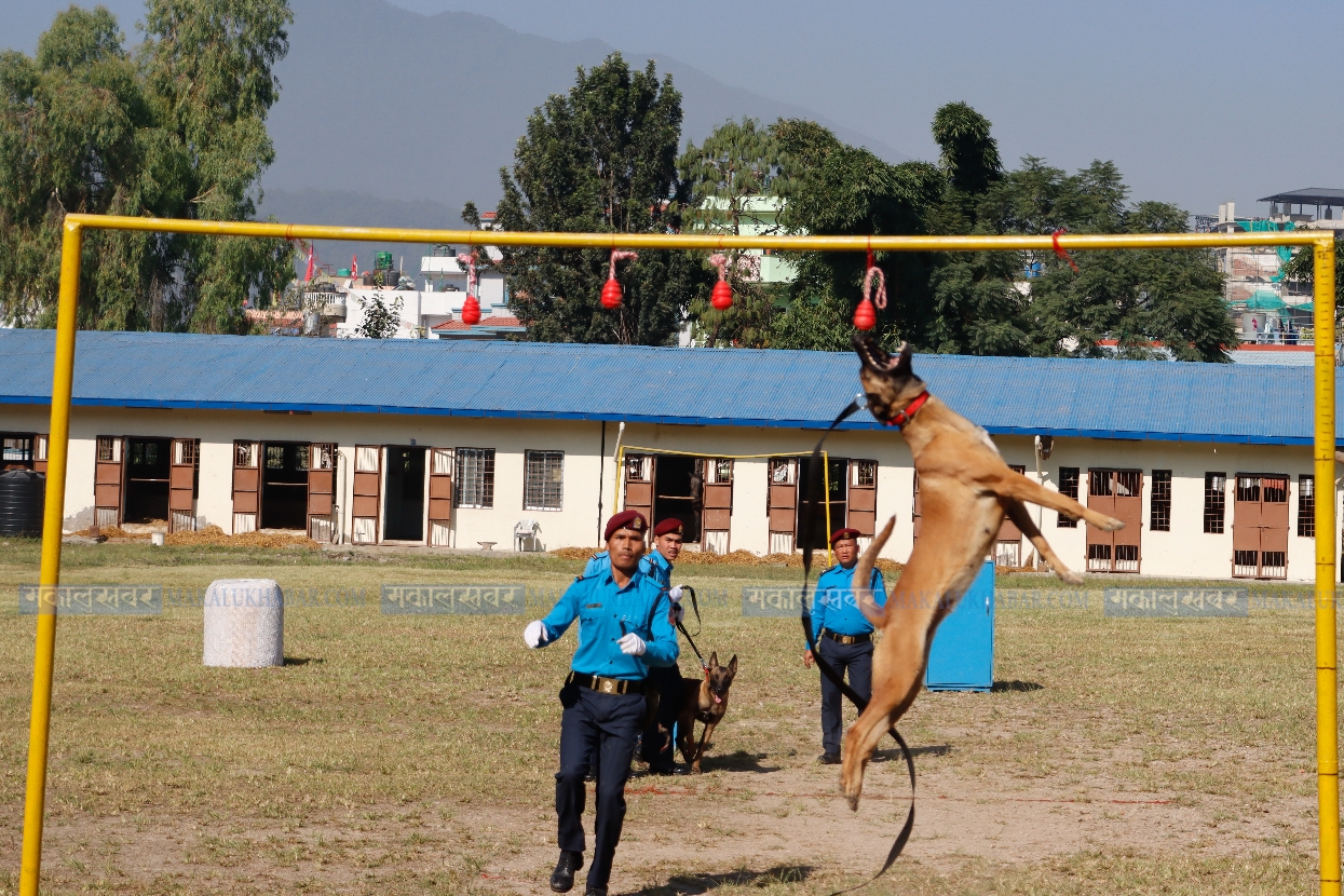 This is how Nepal Police’s Dog Squad celebrated Kukur Tihar (with photos)