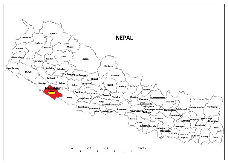 Road encroachment removal started in Nepalgunj