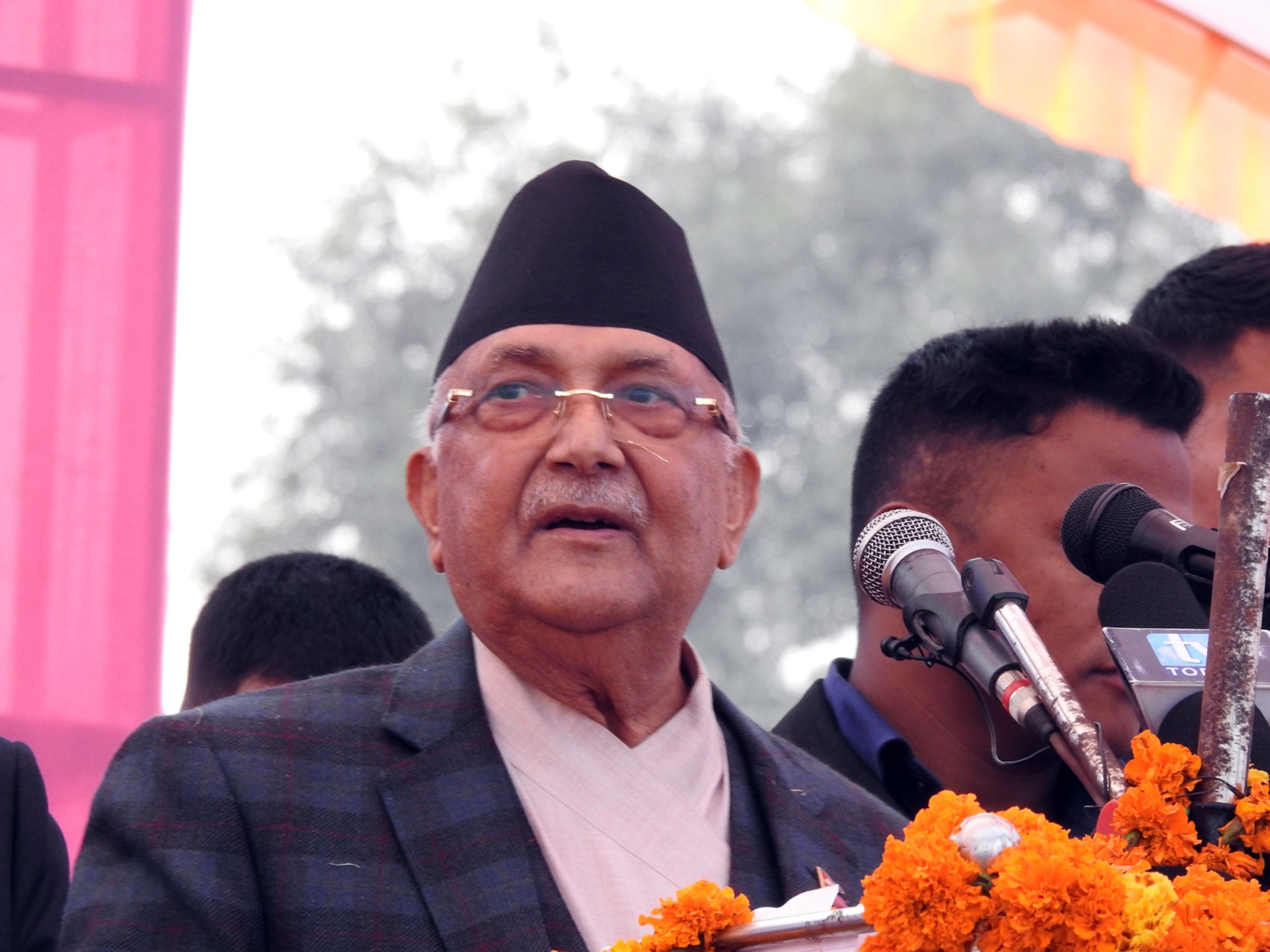 Robust national force needed to run govt, Oli says