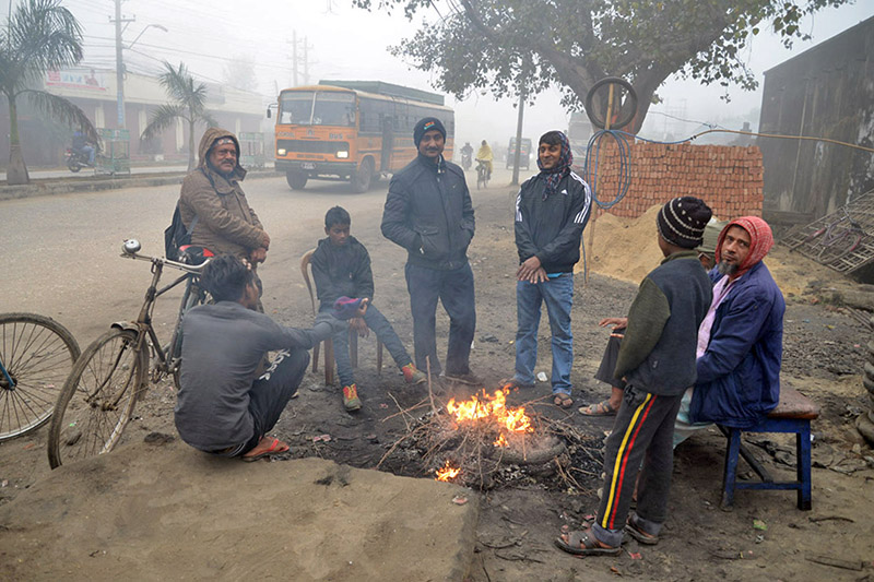 Cold wave, fog, and mist impacting life across Nepal; health & safety precautions urged