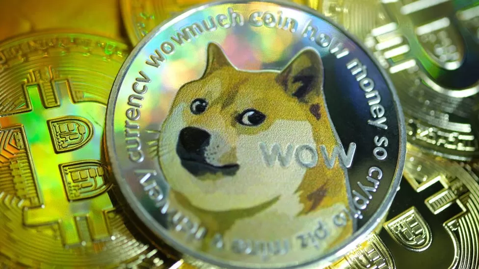 Dogecoin dog makes miraculous recovery