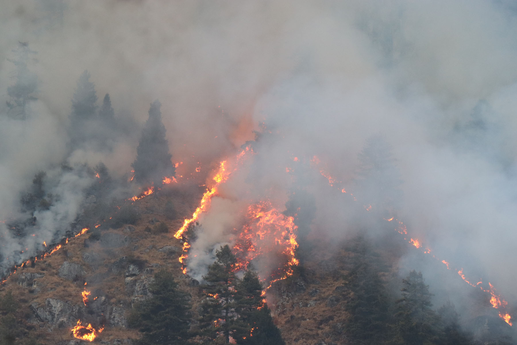 Wildfire remains key challenge to forest management
