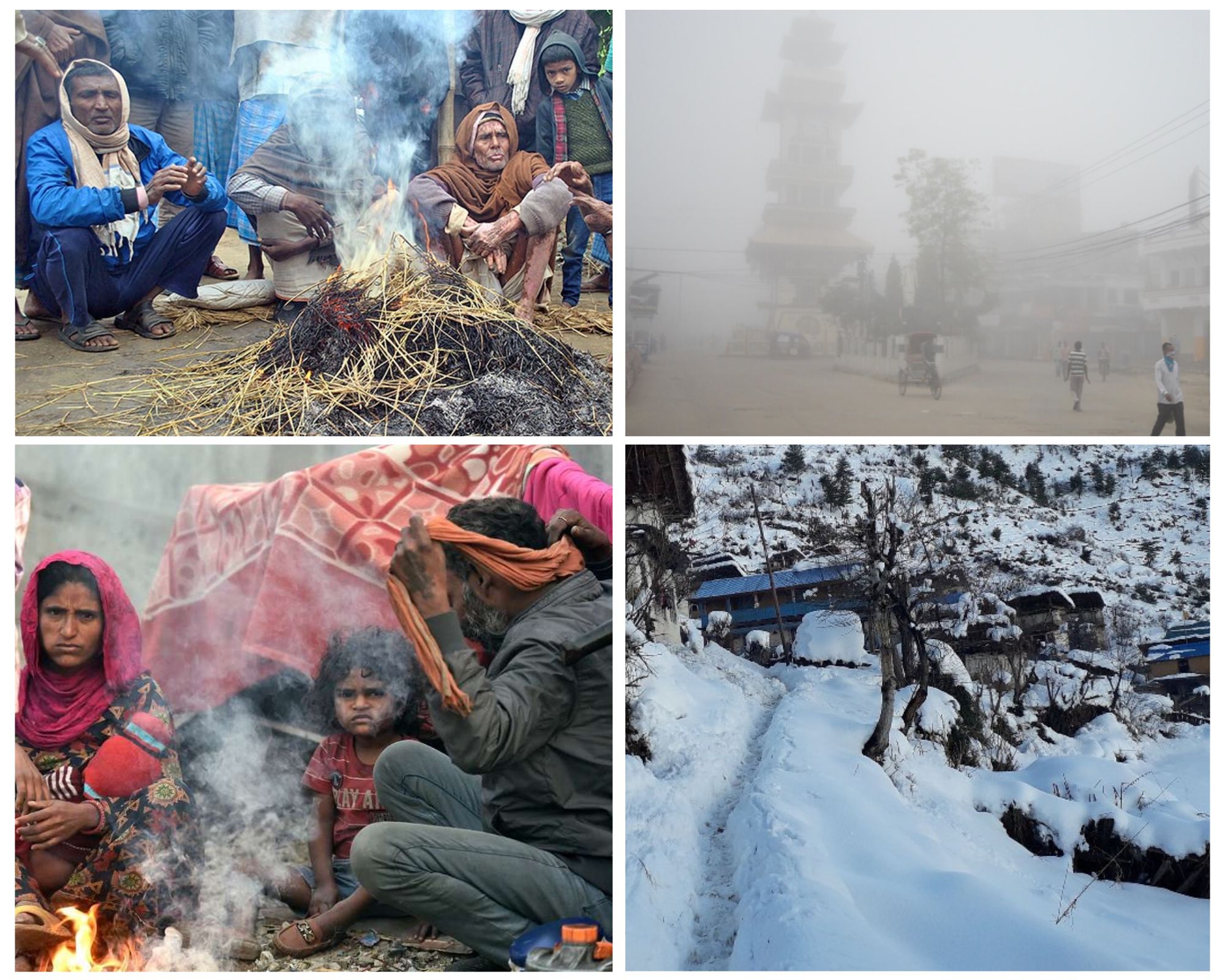 Temperature Decreasing: What plans does the govt have to protect people from cold waves & snowfall?