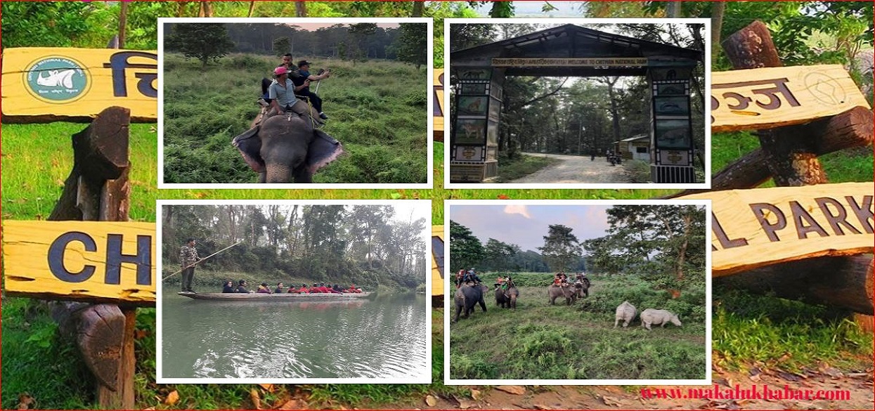 National Workshop for Bird Conservation at Sauraha