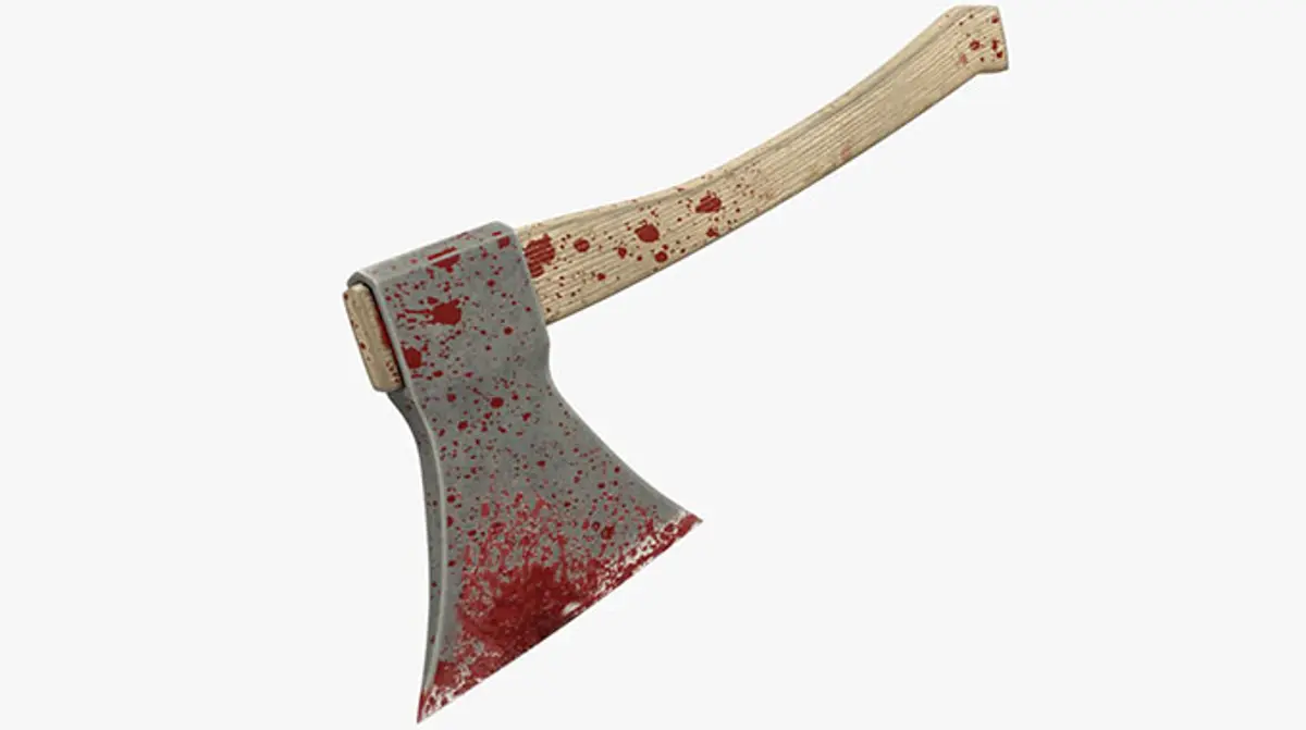 Son killed mother with an axe
