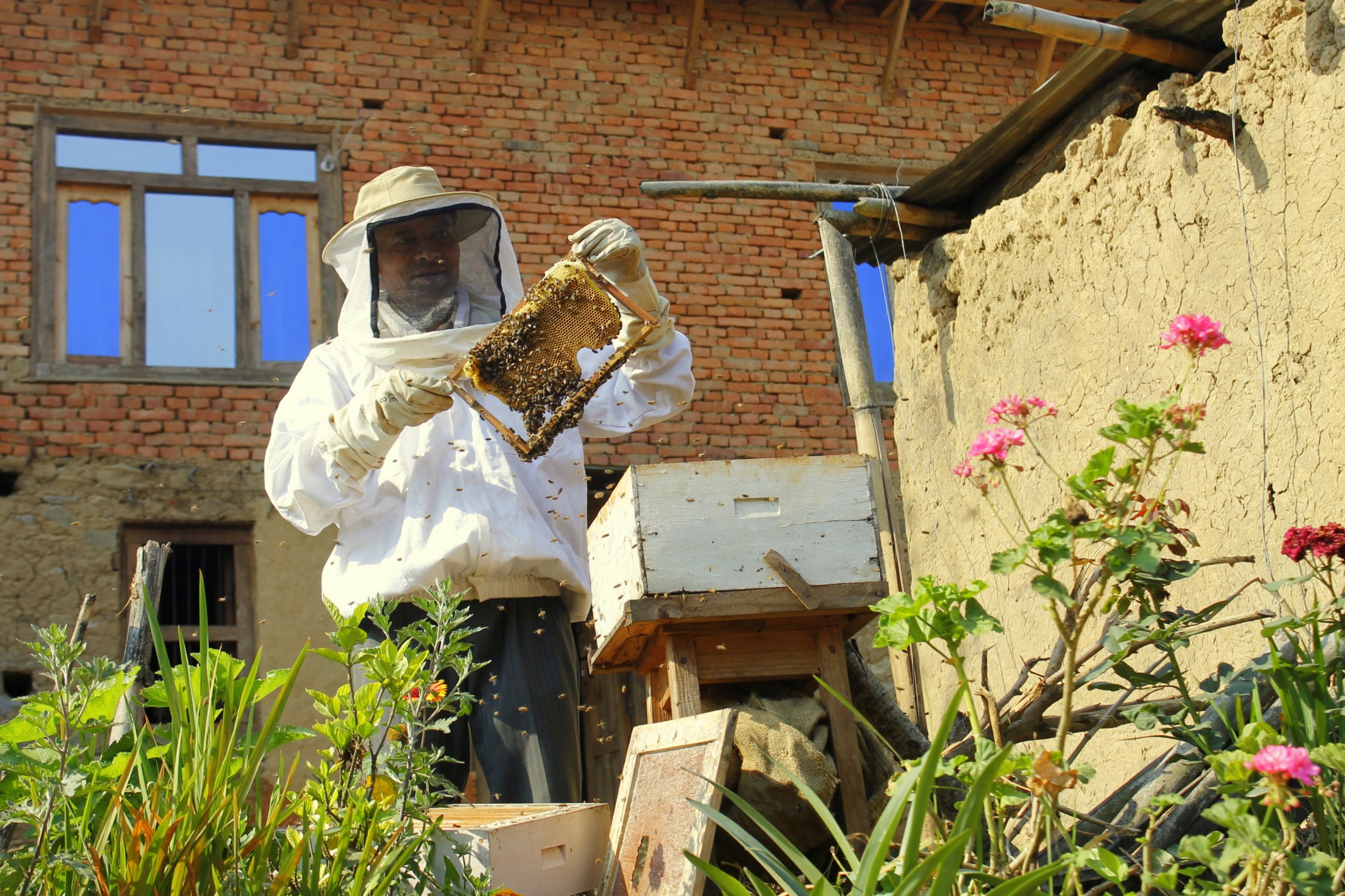 Apiarist from Lalitpur brings bees to Baglung in search of floral plants