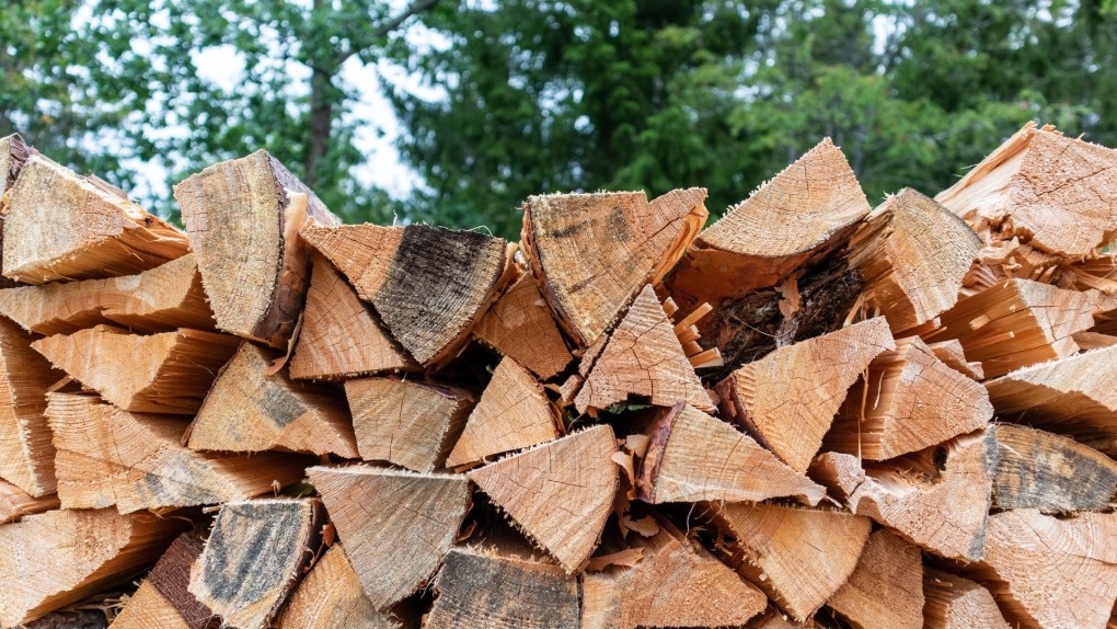 Firewood distributed to keep people protected from cold spell