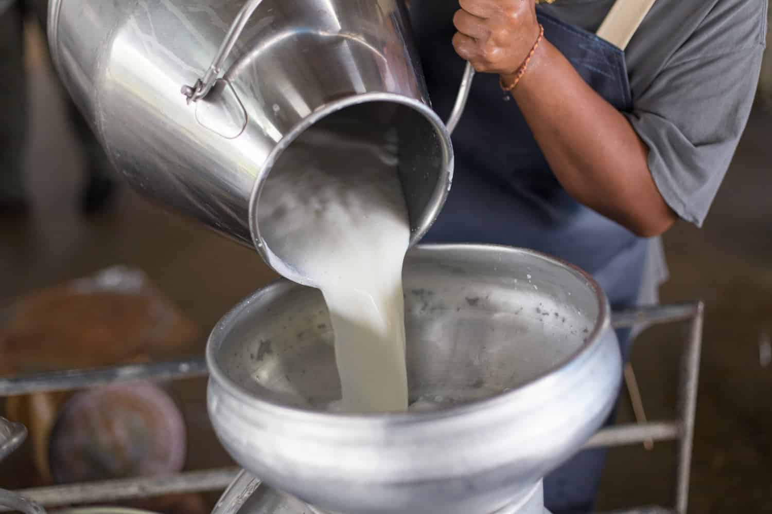 Municipality provides grant to farmers for milk production