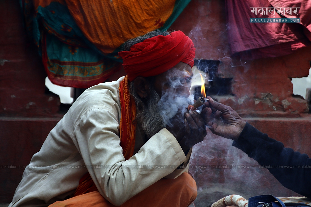 Maha Shivaratri: Both parties who sell & consume marijuana to face consequences