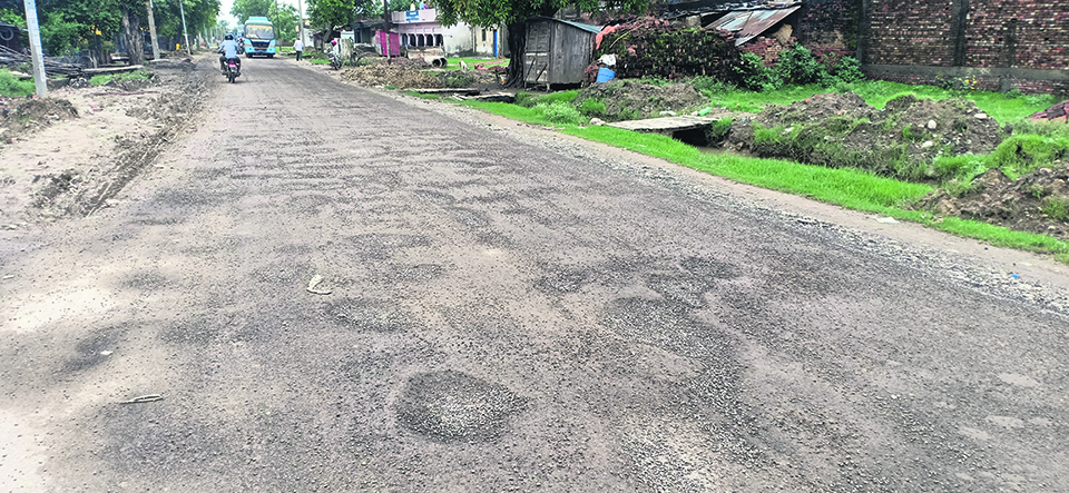 Bhadrapur-Salakpur road blacktopping sees dismal progress