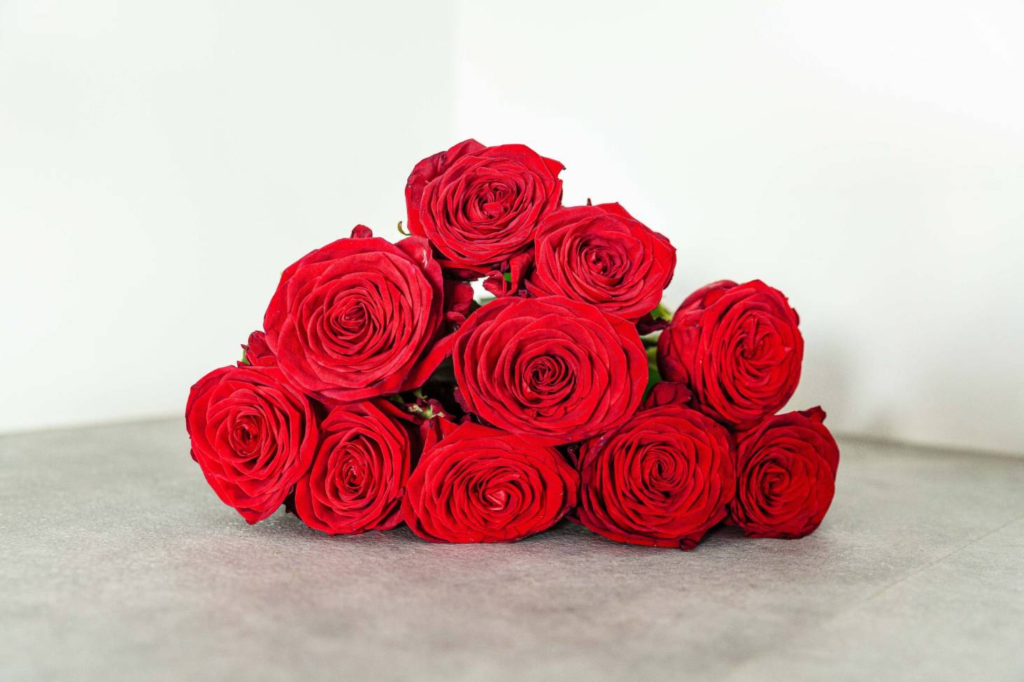 Government bans rose flower import (notice included)