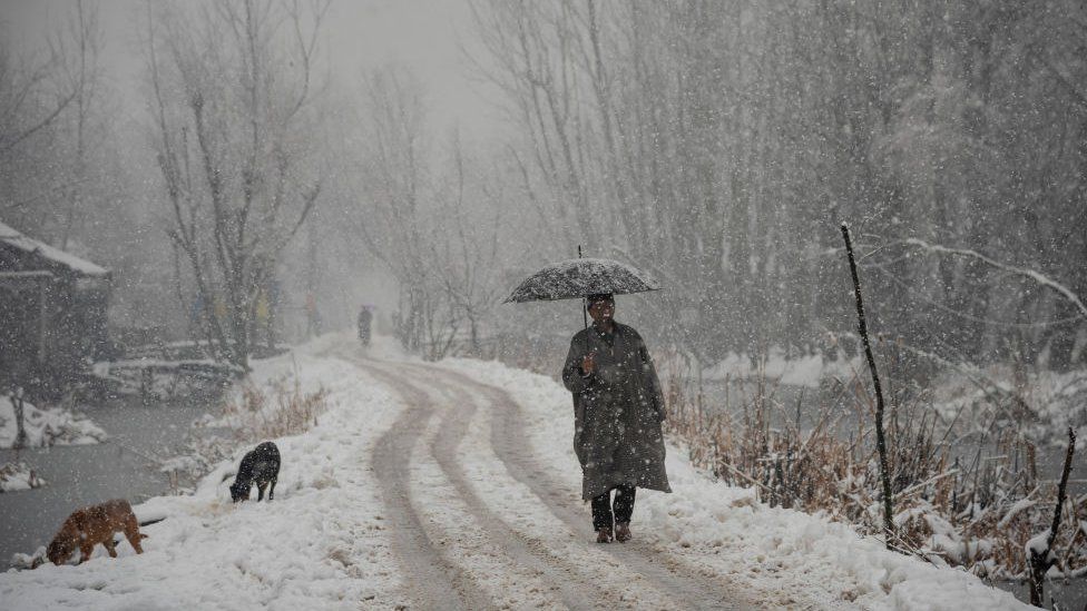 Jammu & Kashmir, Himachal Pradesh: Heavy snow disrupts life in India’s Himalayan states (with photos)