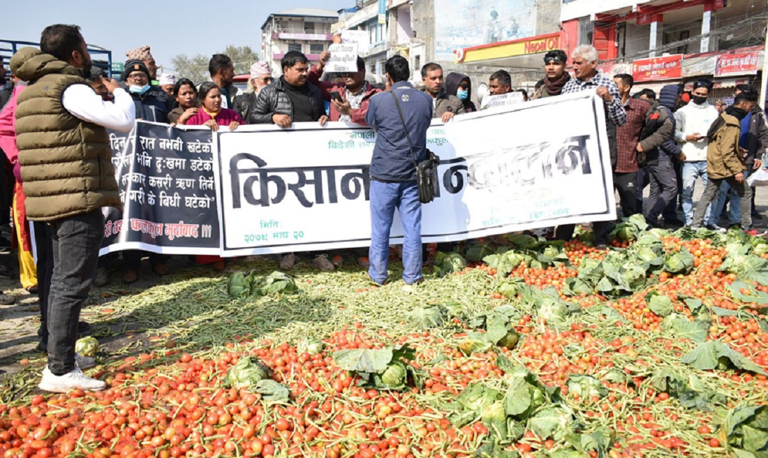 Chitwan farmers demonstrated by throwing vegetables on road