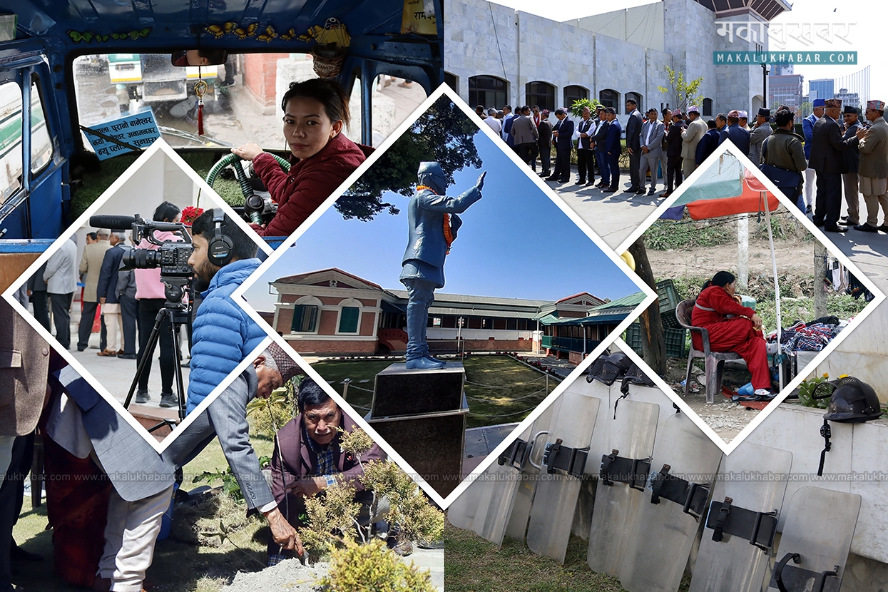 This week’s pictures