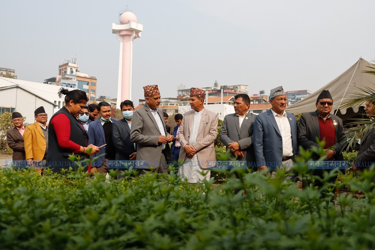 In Pics: Glimpse for vice presidential election