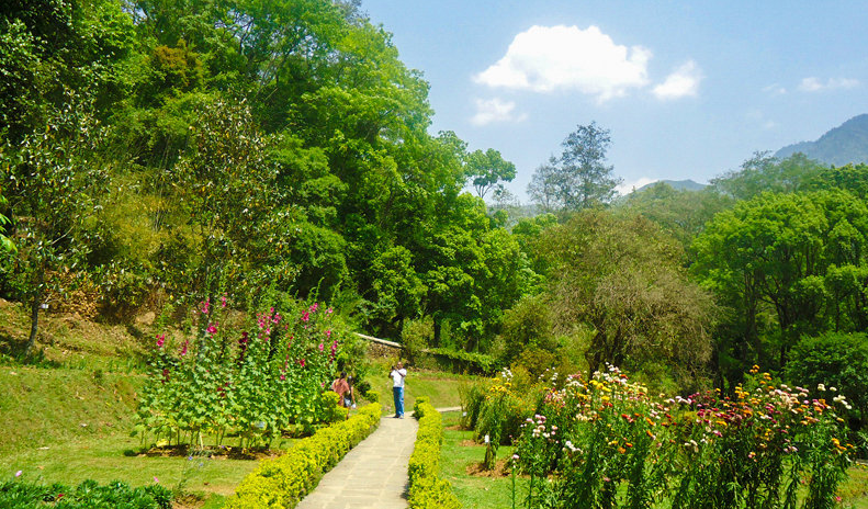 National Botanical Garden sees surge in visitors’ number post pandemic
