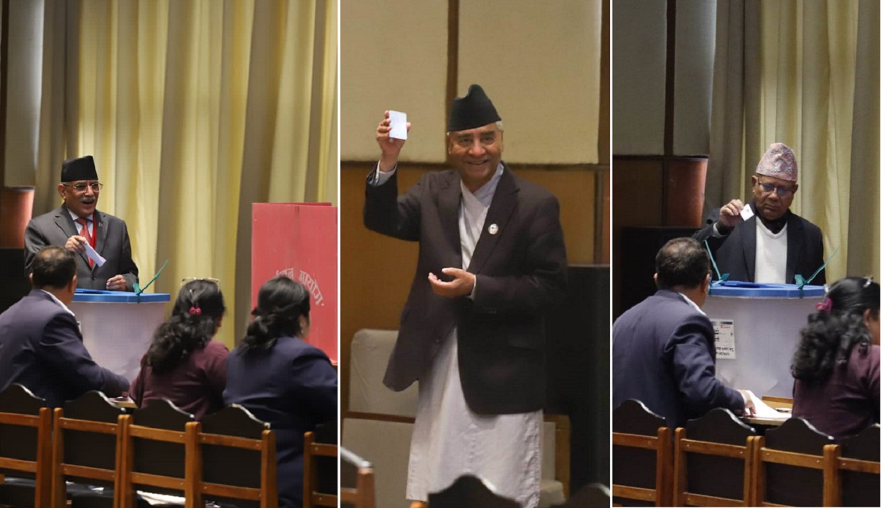 Ex-PMs cast votes under Vice President’s election