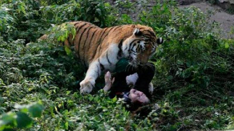 Woman dies in attack of tiger in bordering India