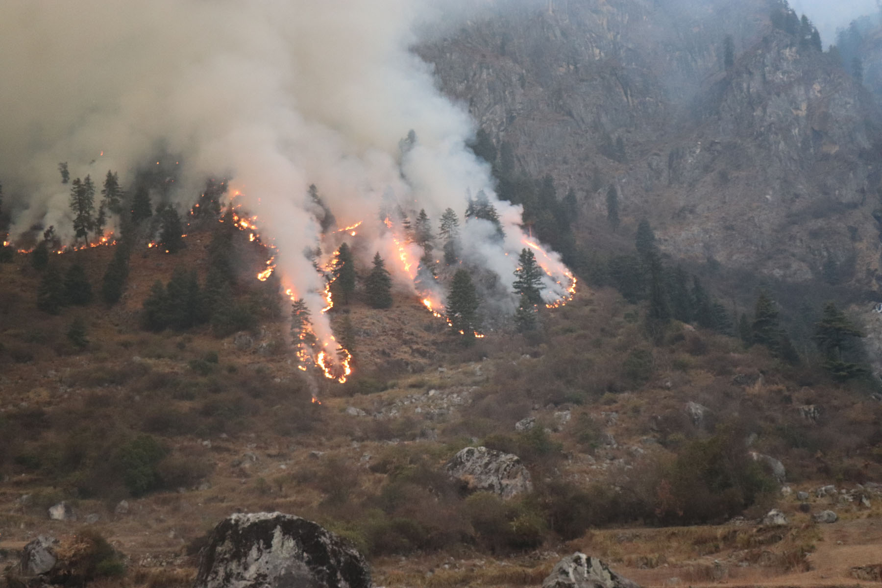 Wildfires destroy 2,000 hectares of forest in Gulmi in less than two months