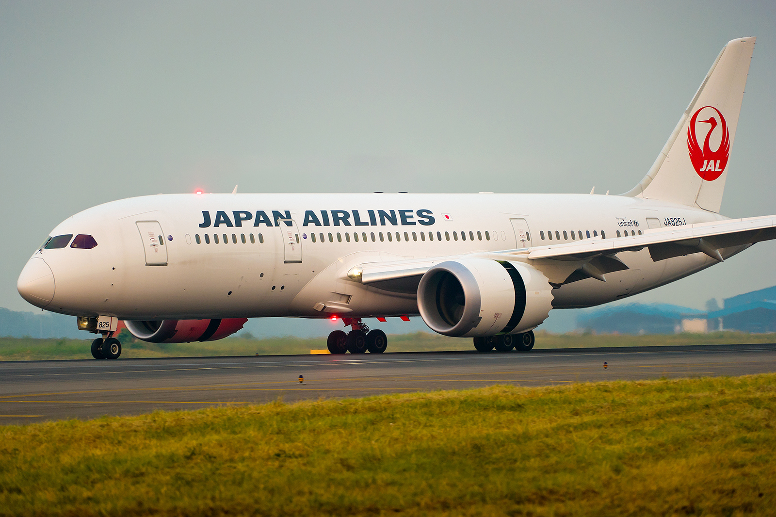 Japan Airlines plane returns to Delhi due to technical glitch