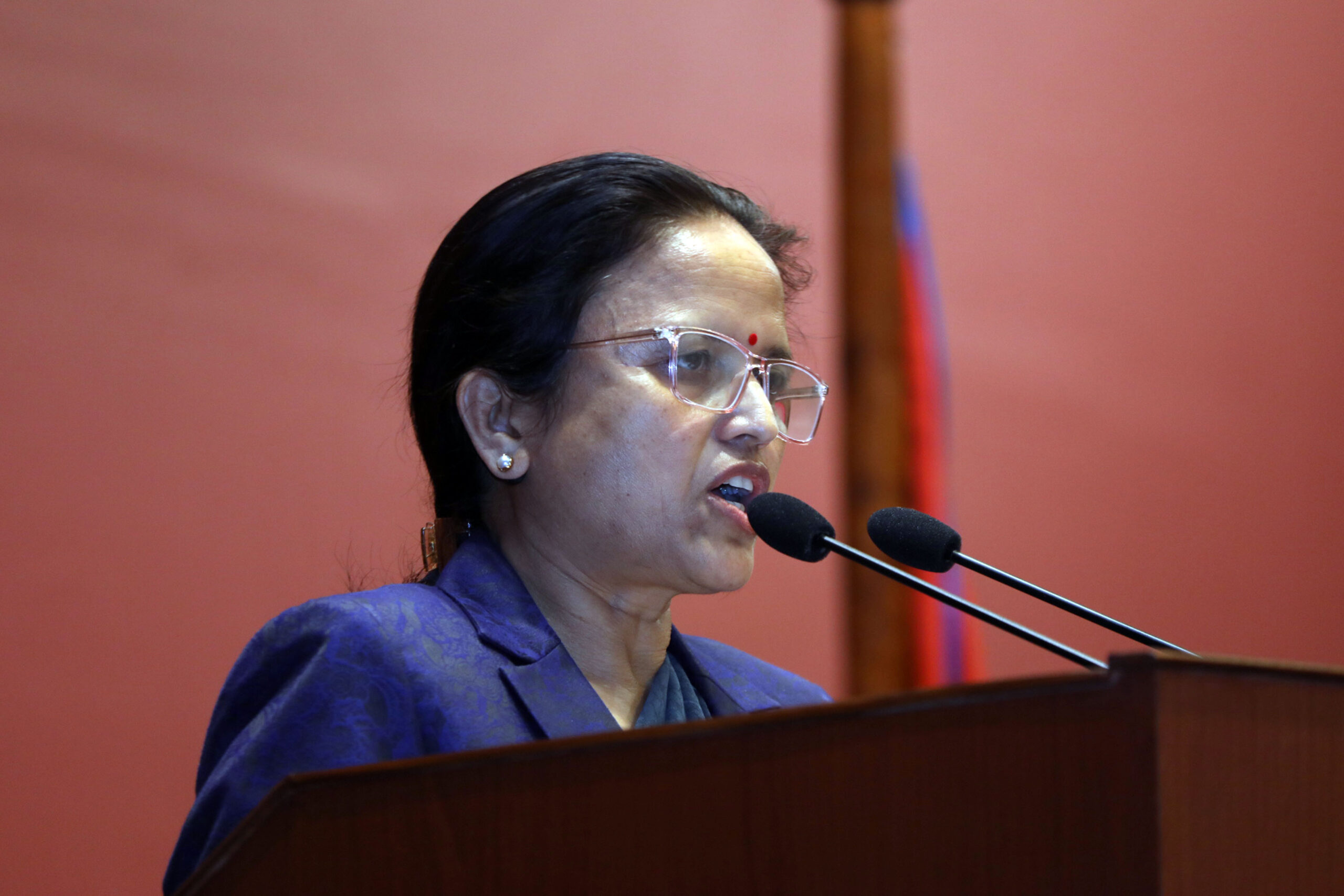 Government prioritises Federal Civil Service Act: Minister Sharma