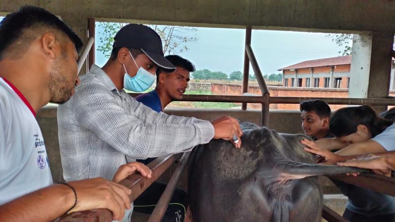 Full vaccination programme for domestic animals in Tanahun