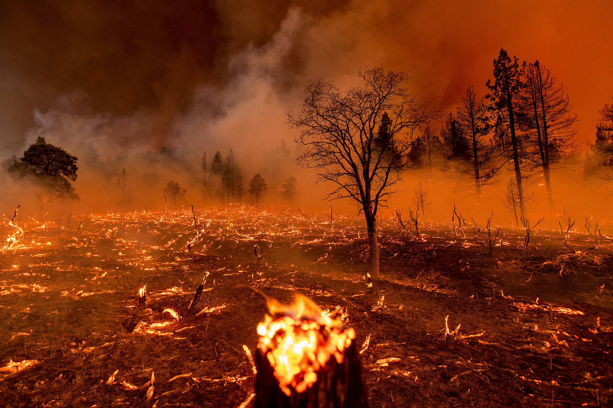 Wildfires increasing atmospheric pollution across country