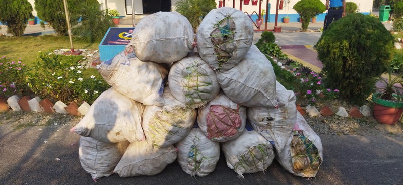 422 kg of illegal narcotic recovered from Jahada in Morang