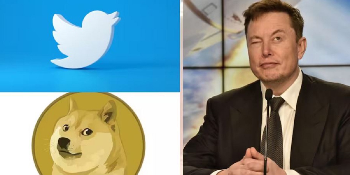 Twitter logo changes, now a dog instead of a blue bird