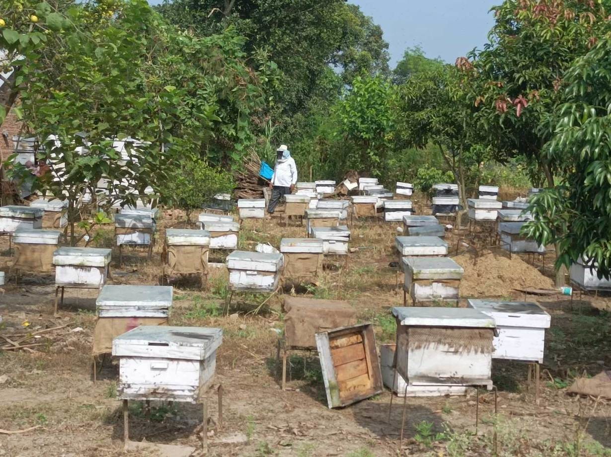 Beehives given to Tanahun farmers