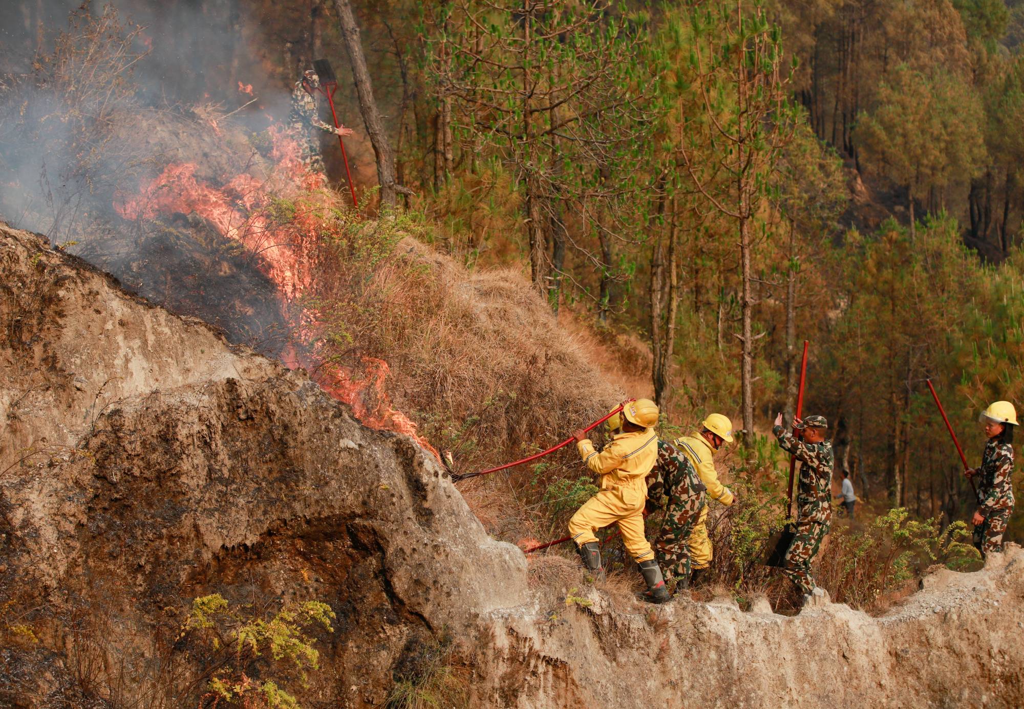 Wildfire destroys around 300 hectares of forest in Udayapur